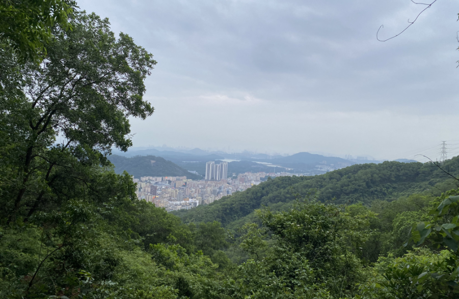摩登6团建|梦想凝聚团队,团队铸就梦想!