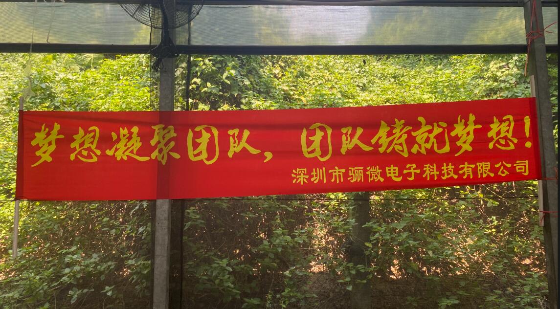 摩登6团建|梦想凝聚团队,团队铸就梦想!